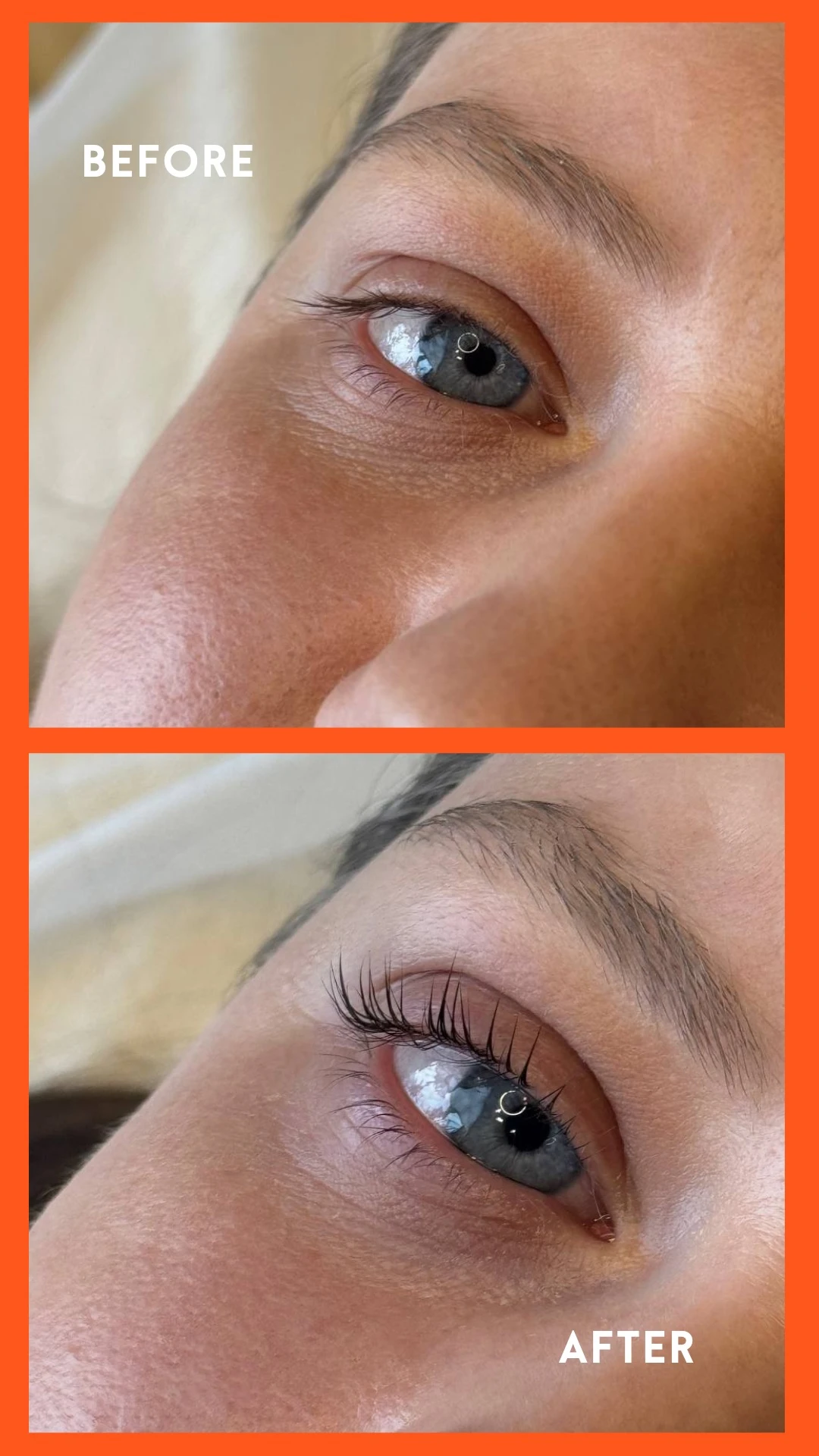 Леш шайн - результат Леш шайн - результат